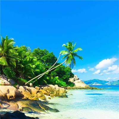 ob体育最新官网app下载